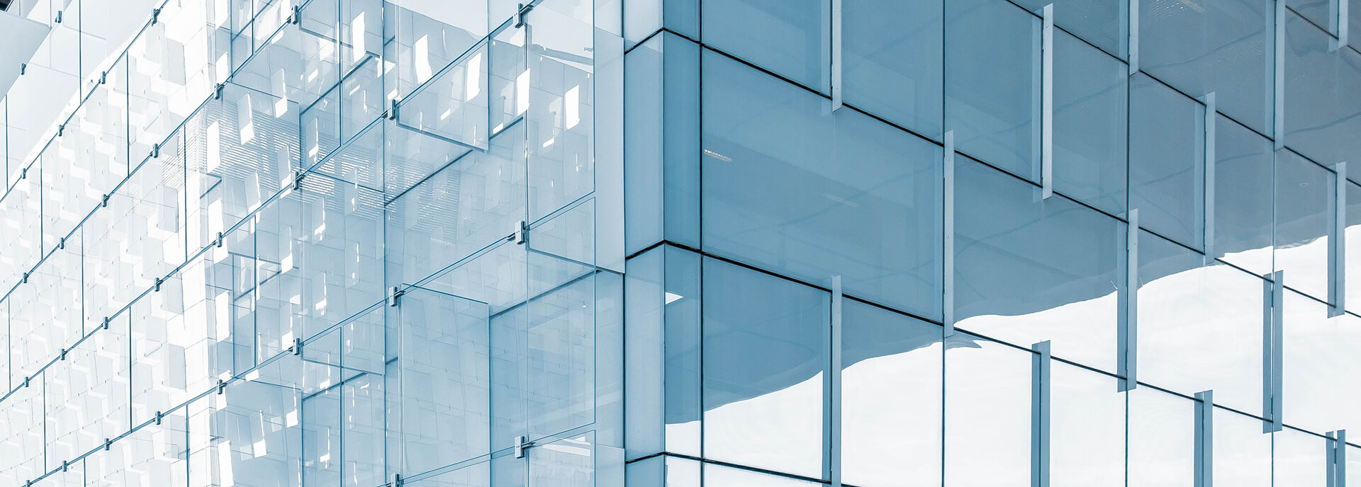 6 Reasons to Choose John Rich